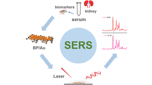 SERS analysis