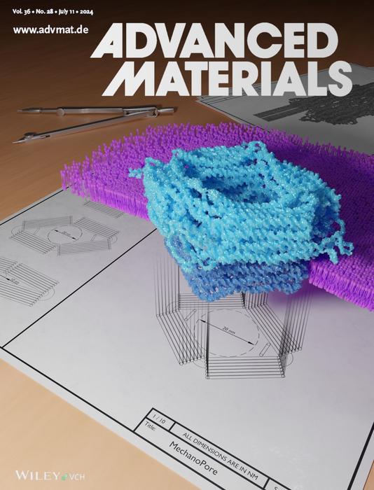 Cover Advanced Materials issue September 26