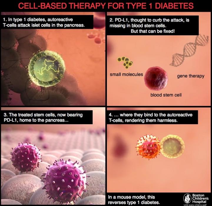 Cell-based Therapy for Type 1 Diabetes