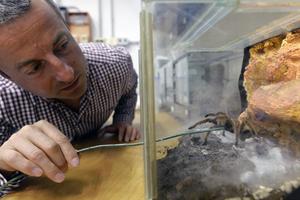 Nicola Pugno with a spider in his hands