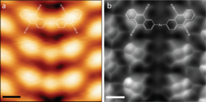 Scanning tunnelling microscopy and atomic force microscopy