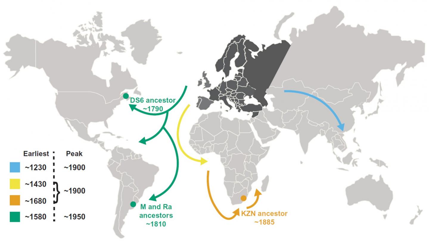 Temporal Overview of L4 Migration out of Europe