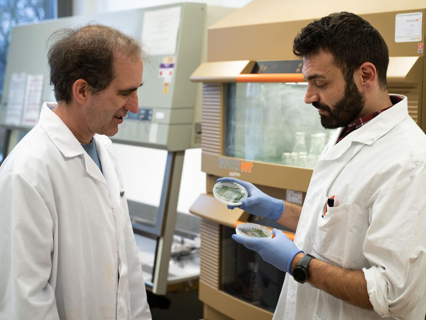 Prof. Dörmann (Left) and His Doctoral Student Mohammed Aizouq