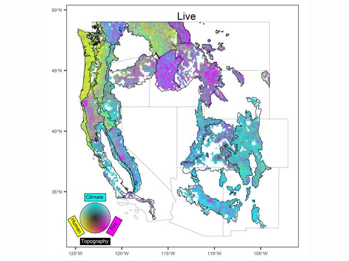 Drivers of carbon storage in live trees varied at the regional, ecoregional, and even local levels.