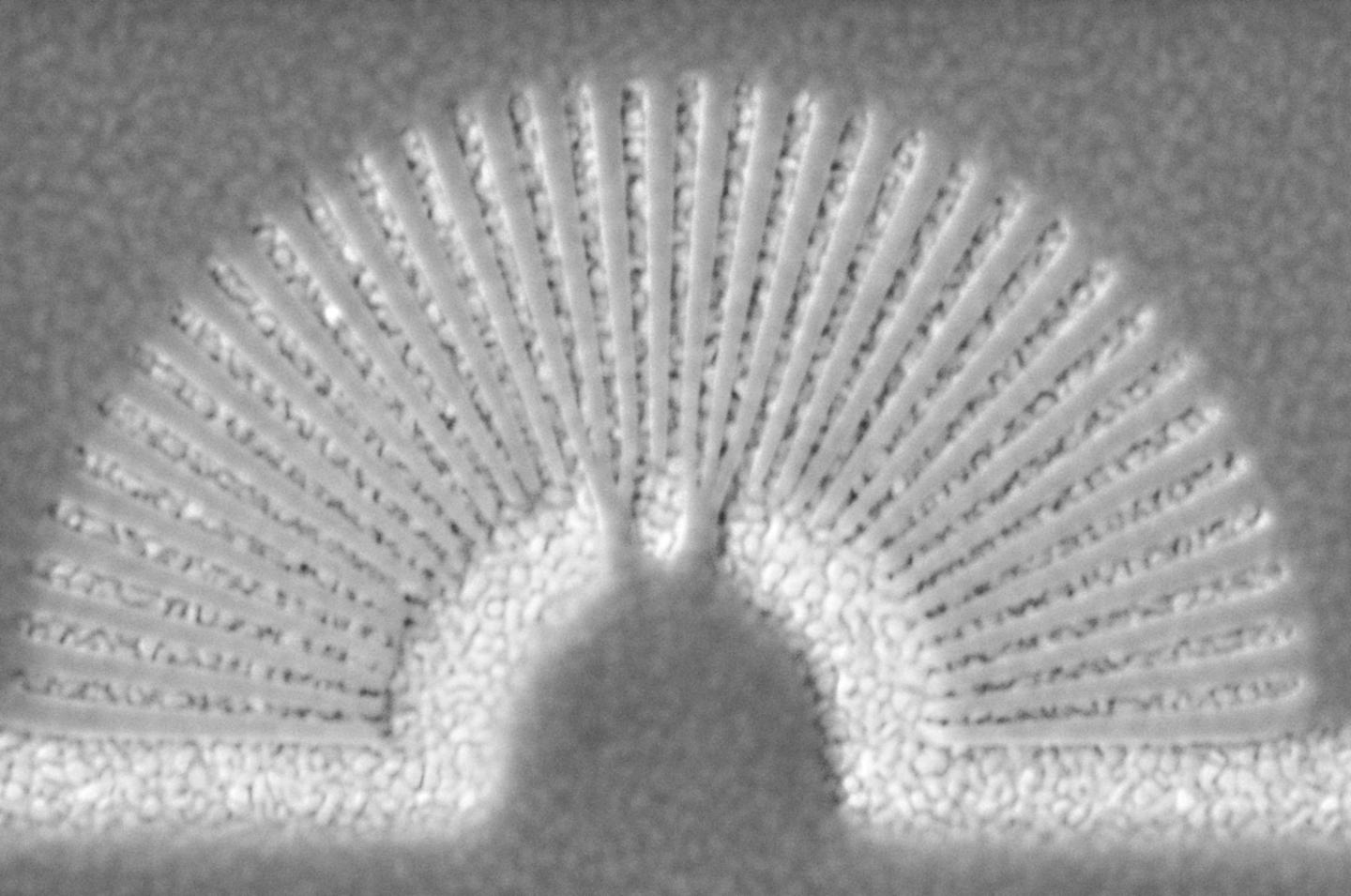 This Slinky Lookalike 'Hyperlens' Helps Us See Tiny Objects