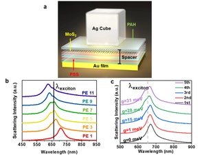 Dark-field scattering spectrums of the gap-mode nanocavity