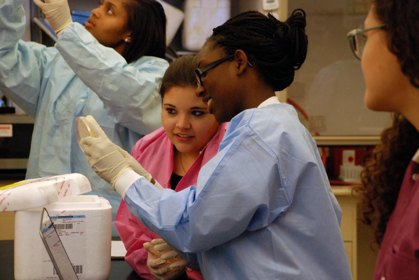 Undergraduates in SEA-PHAGES Program