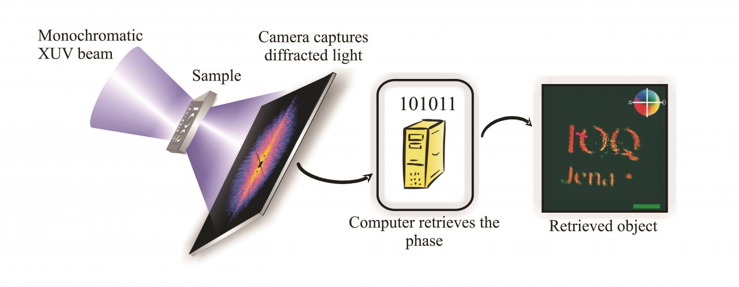 Custom-Built Ultrafast Laser