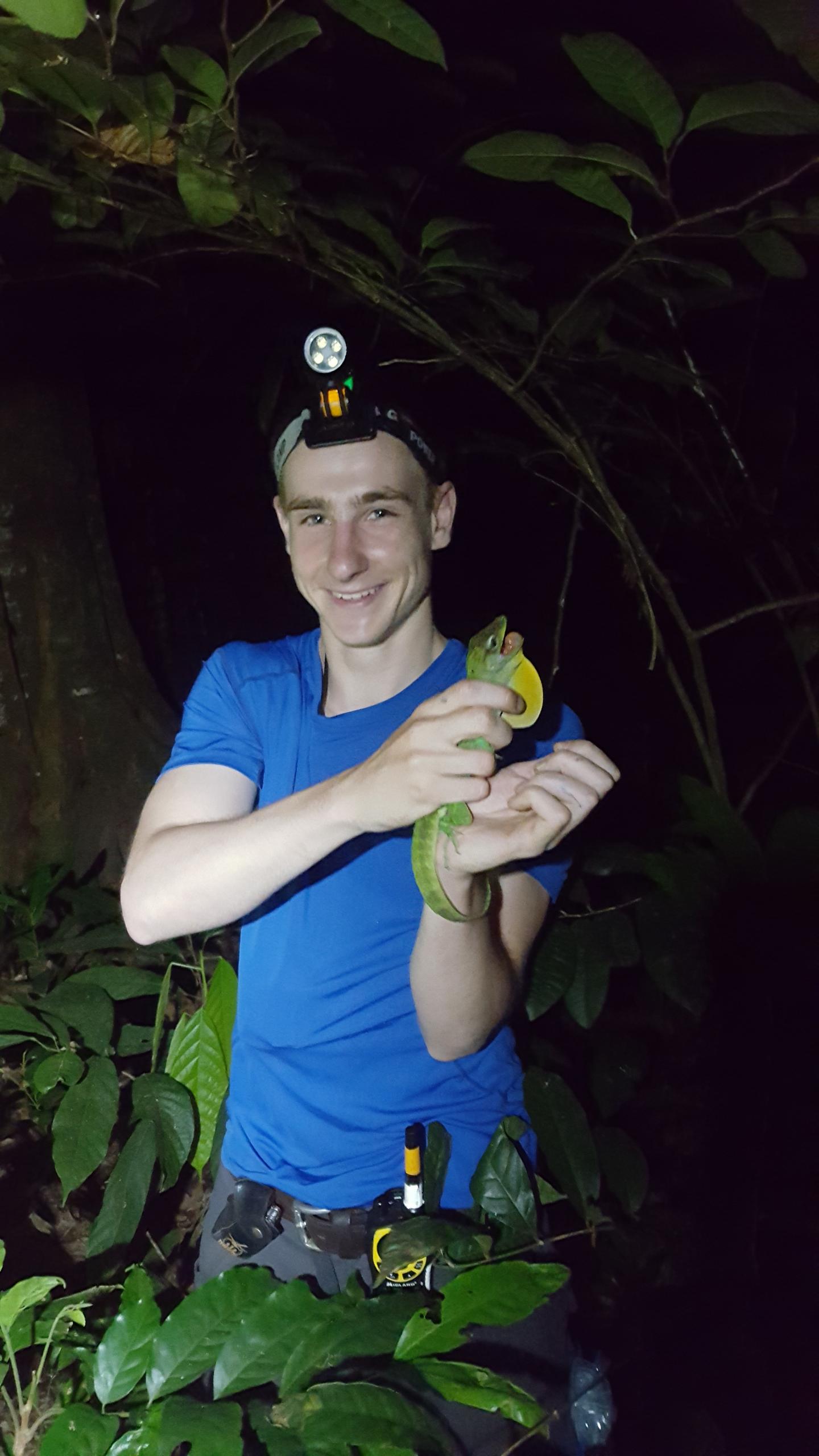 Up Close And Personal With Dominican Republic Lizard