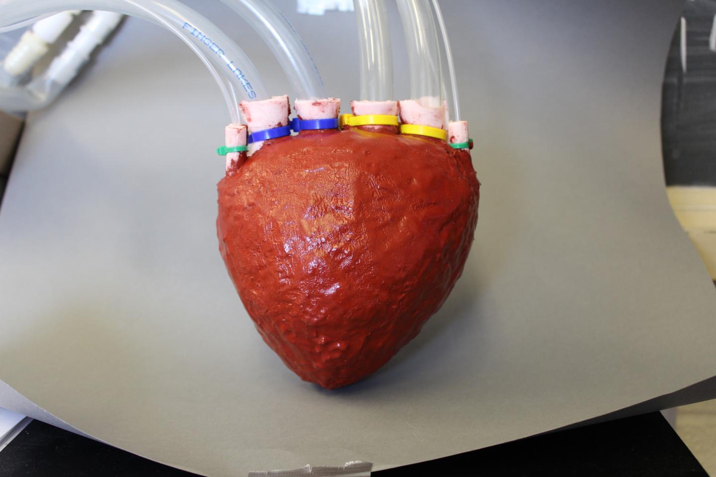 Artificial Foam Heart