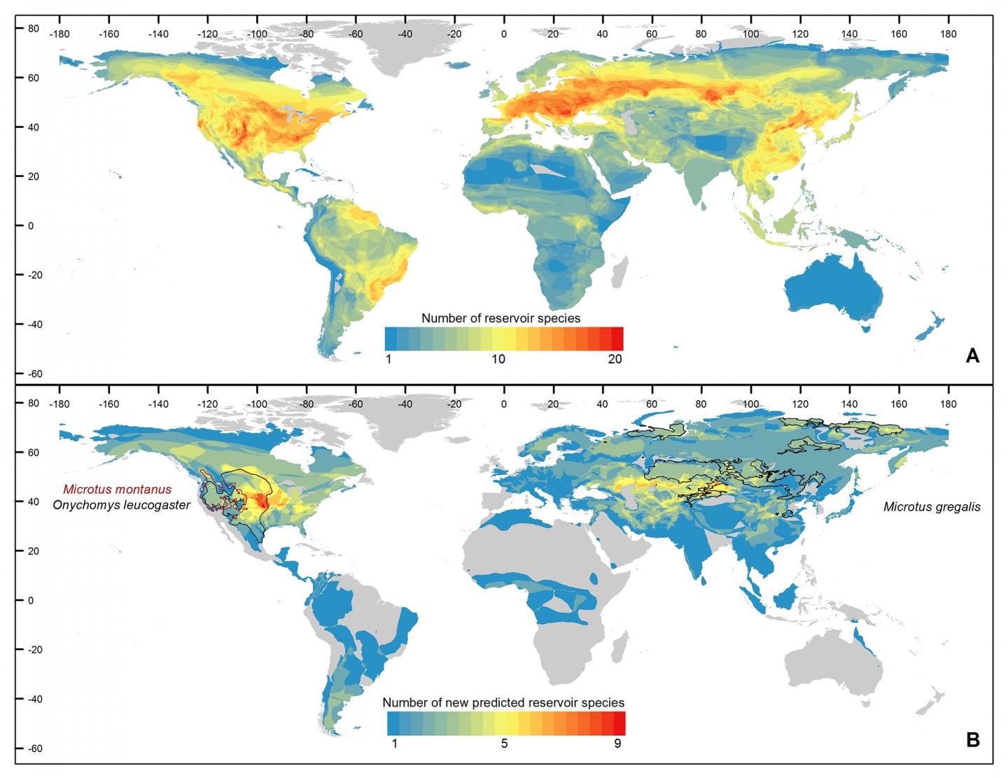 A Map Shows the Global Hot Spots of Rodent Reservoir Diversity