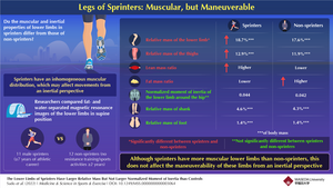 Legs of sprinters have well-developed muscles, but they are efficiently maneuverable from an inertial perspective, finds a study by Waseda University researchers