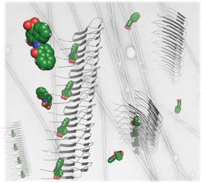 Small Molecules Binding to Amyloid Fibrils