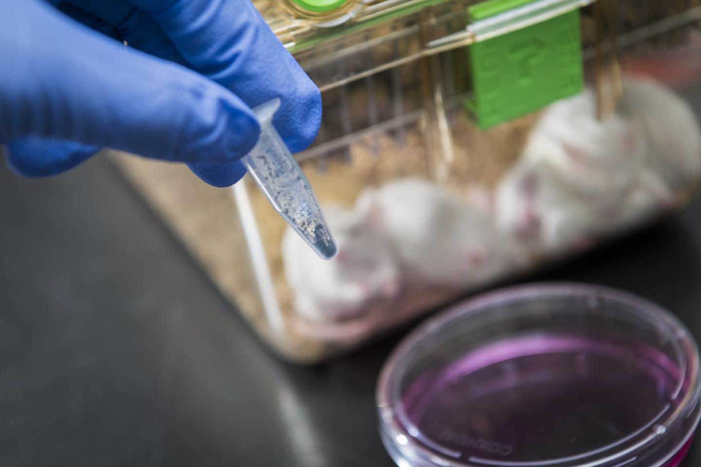 Phorbiplatin, First Platinum Antitumor Prodrug Controllably Activated by Red Light