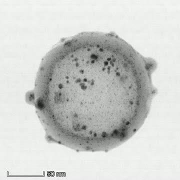 Combined Stereo Images of a Carbon Nanosphere