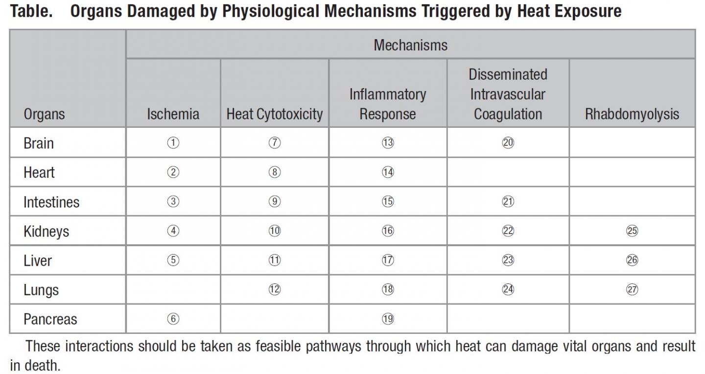 Table: Organs Damaged by Physiological Mechanisms Triggered by Heat Exposure