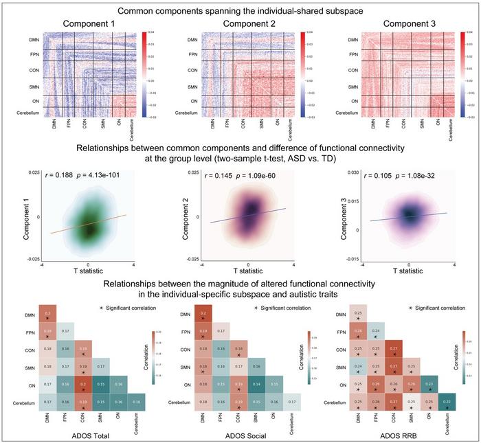 Researchers Identify Altered Functional Brain Connectivity in Autism Subtypes