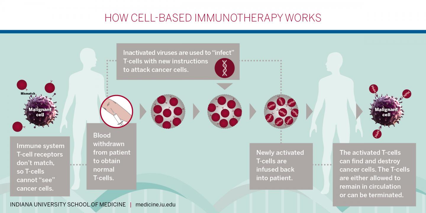 How Cell Based Immunotherapy W [image] Eurekalert Science News Releases