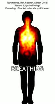 Bodily sensations give rise to conscious feel | EurekAlert!