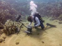 Benthic Underwater Microscope Used to Study Corals