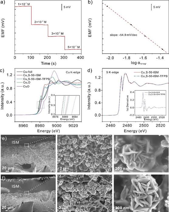 Researchers Develop Stable Solid Contact Calcium Ion-Selective Electrode Using Copper Sulfide Nanoflowers