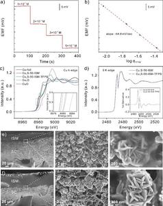 Researchers Develop Stable Solid Contact Calcium Ion-Selective Electrode Using Copper Sulfide Nanoflowers