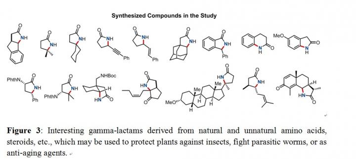 Fig 3 Interesting Gamma-lactams