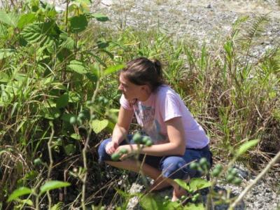 Sandra Rehan, University of New Hampshire