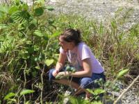 Sandra Rehan, University of New Hampshire