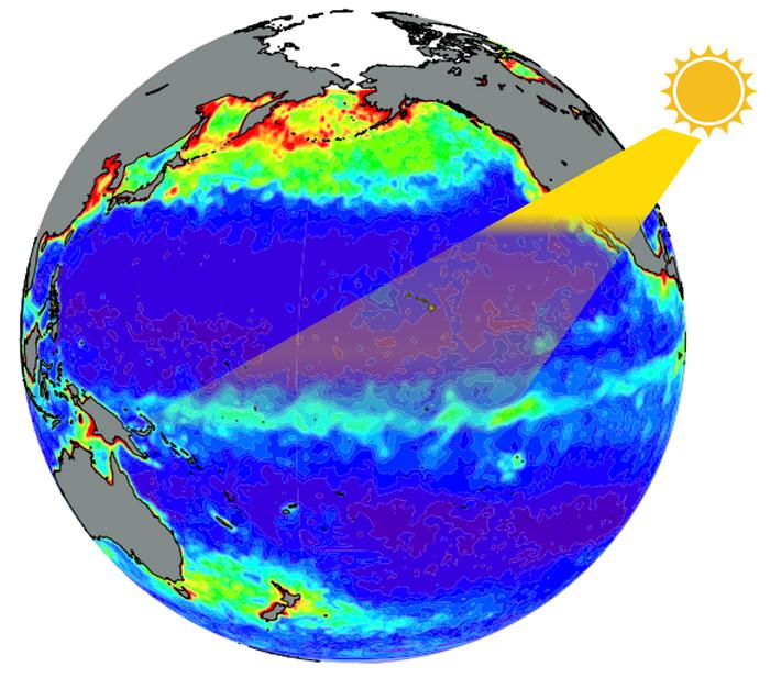 Figure 1 Surface chlorophyll concentration observed by satellites in the second week of October 2010 in the Pacific basin