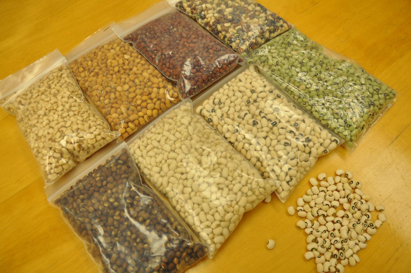 Cowpea Varieties