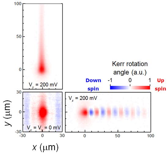 Spatial Distribution of Electron Spins