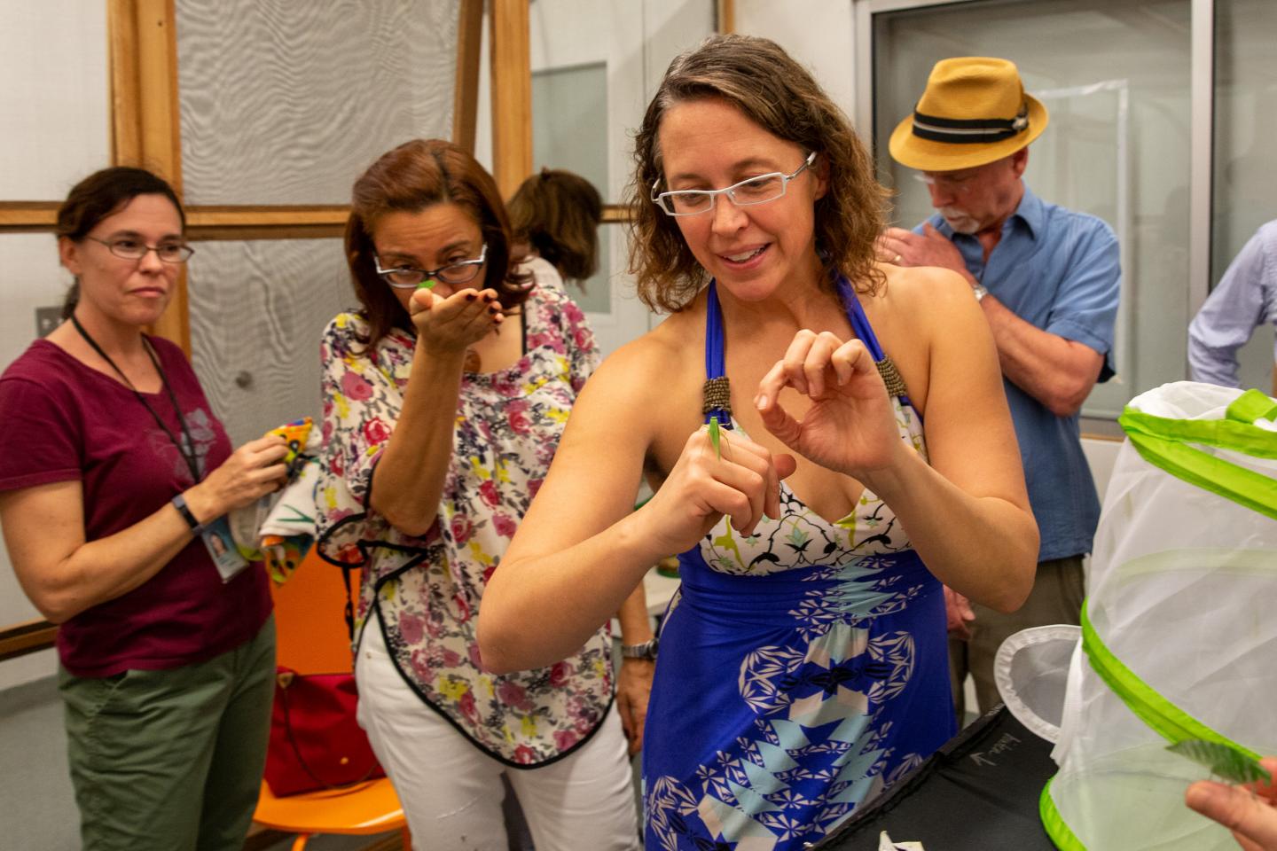 The Katydids Escaped!