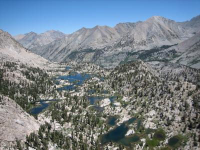 Site of Frog Population Extinctions