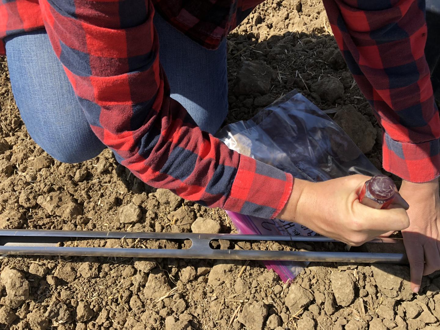 Sampling Soil