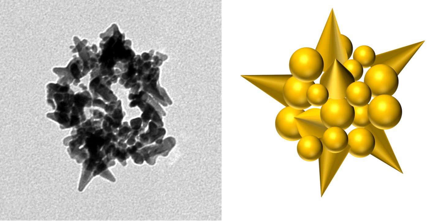 Gold Nanobead Made by M13 Phage
