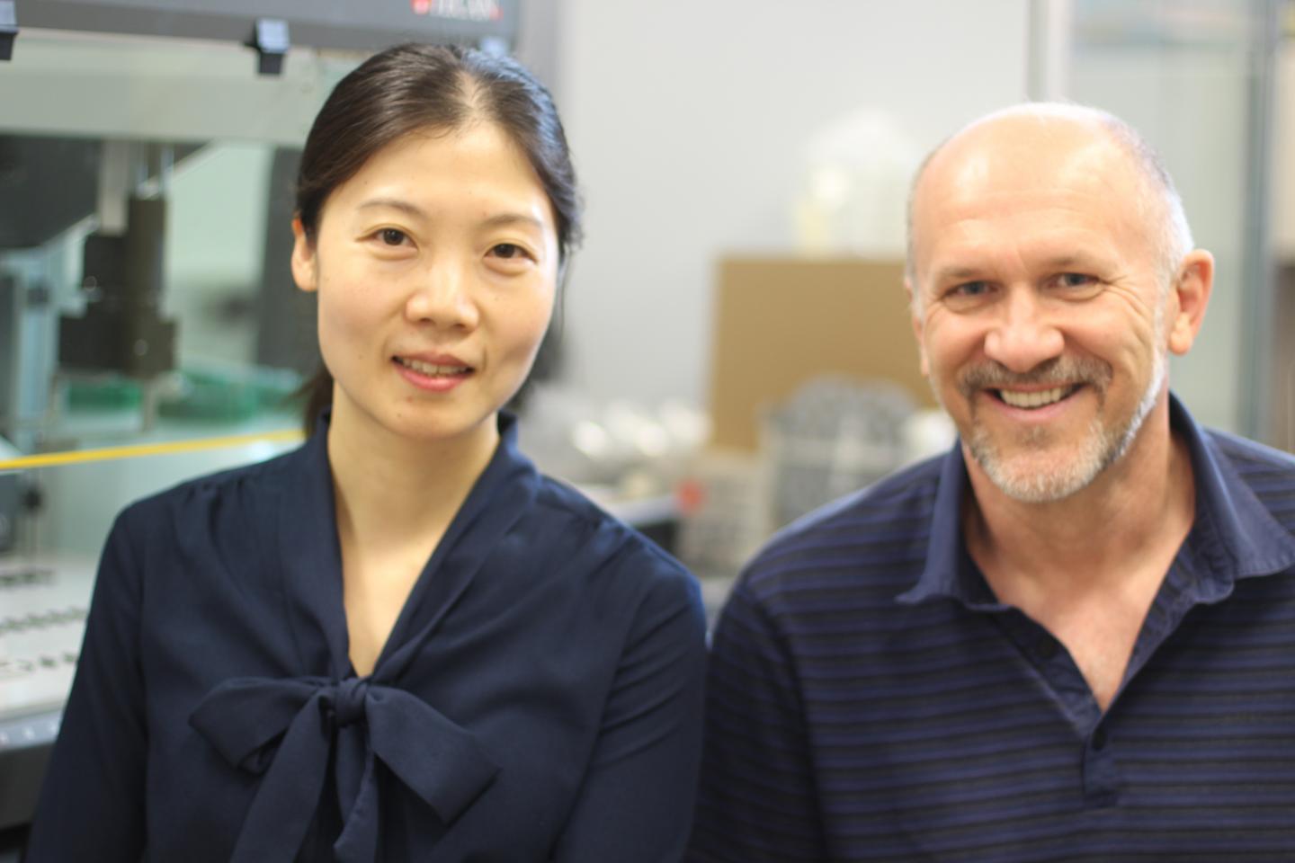 Microsensor Simulates Malaria in the Womb, Sarah Du, Ph.D., Florida Atlantic University 