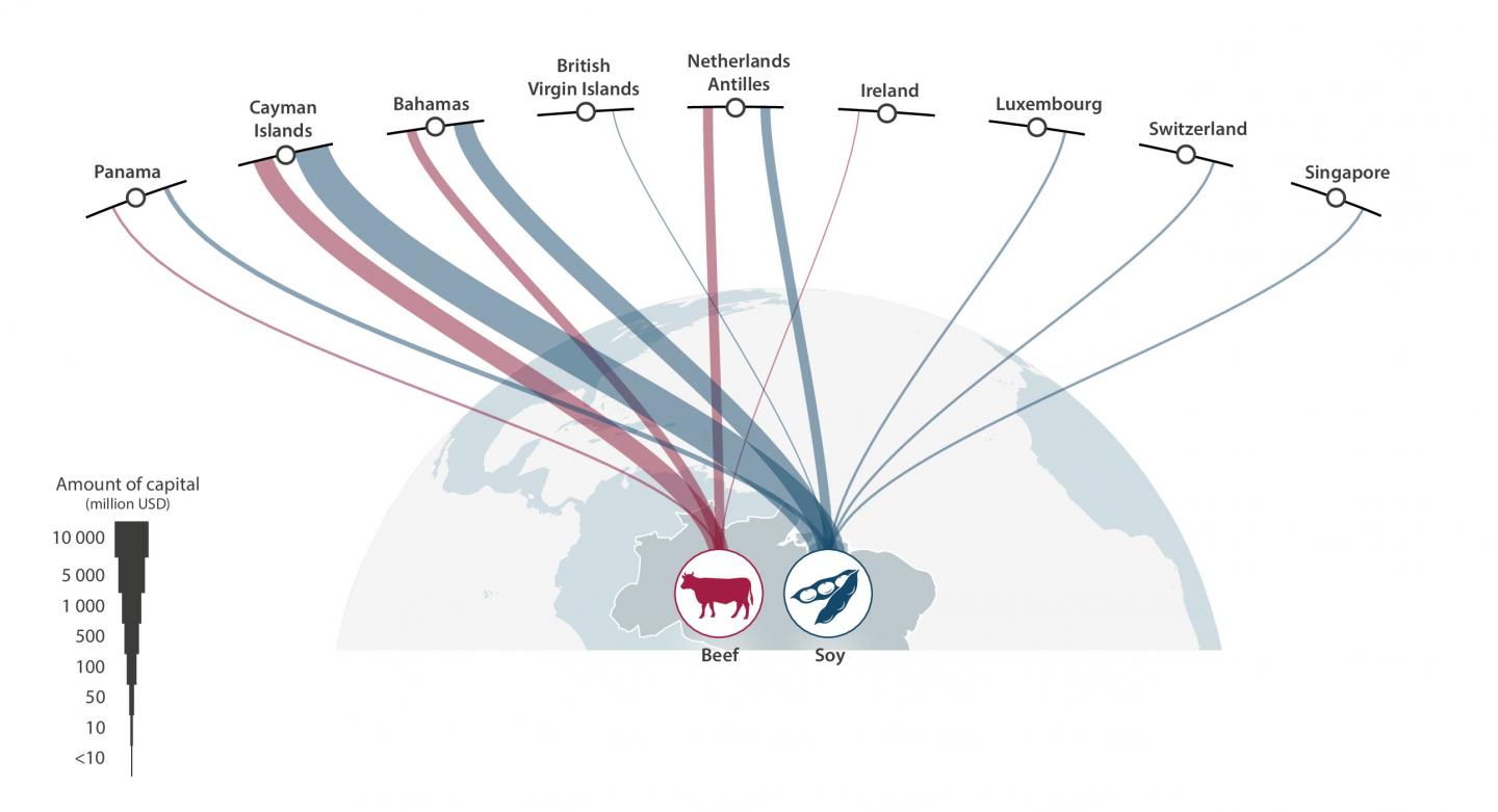 Tax Haven Financial Flows