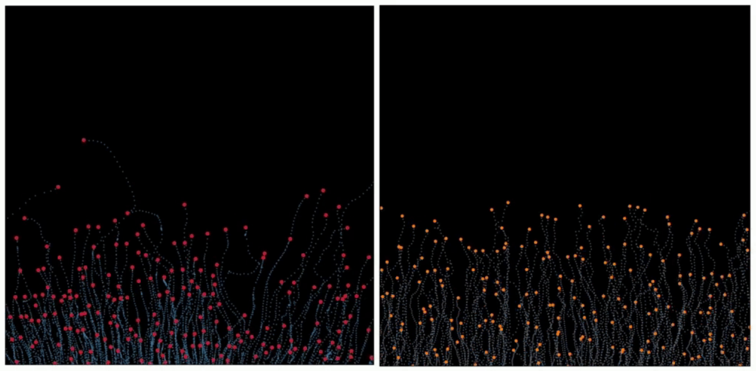 Experiments vs. simulations