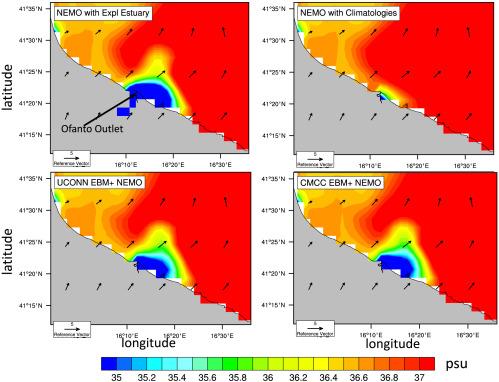 The Ofanto river plume with different modelling approaches