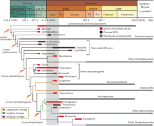Phylogeny and temporal distribution of early jawed vertebrates in Silurian- Devonian interval