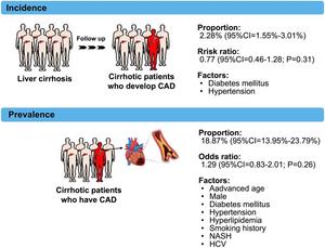 Risk of Coronary Artery Disease in Patients with Liver Cirrhosis