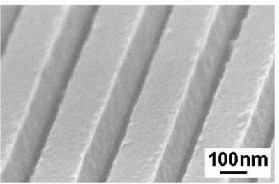 Scanning Electron Micrograph of HCG Mirror