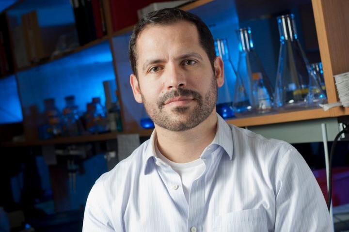 Emmanuel Skordalakes