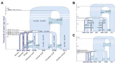Historical Dog and Wolf Lineages