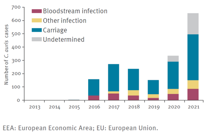 Reported cases of Candida auris infection or carriage, EU/EEA, 2013–2021 (n = 1,812)