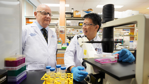 Scientists from NUS and NUHS identify predictive blood biomarker for cognitive impairment and dementia 2