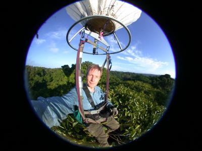 A Headcount of Arthropods in Panama (3 of 8)