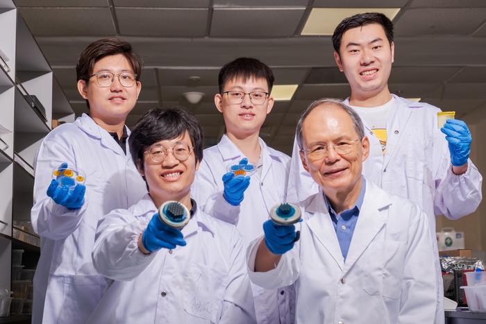 NTU Singapore scientists develop strong yet reusable adhesive from smart materials