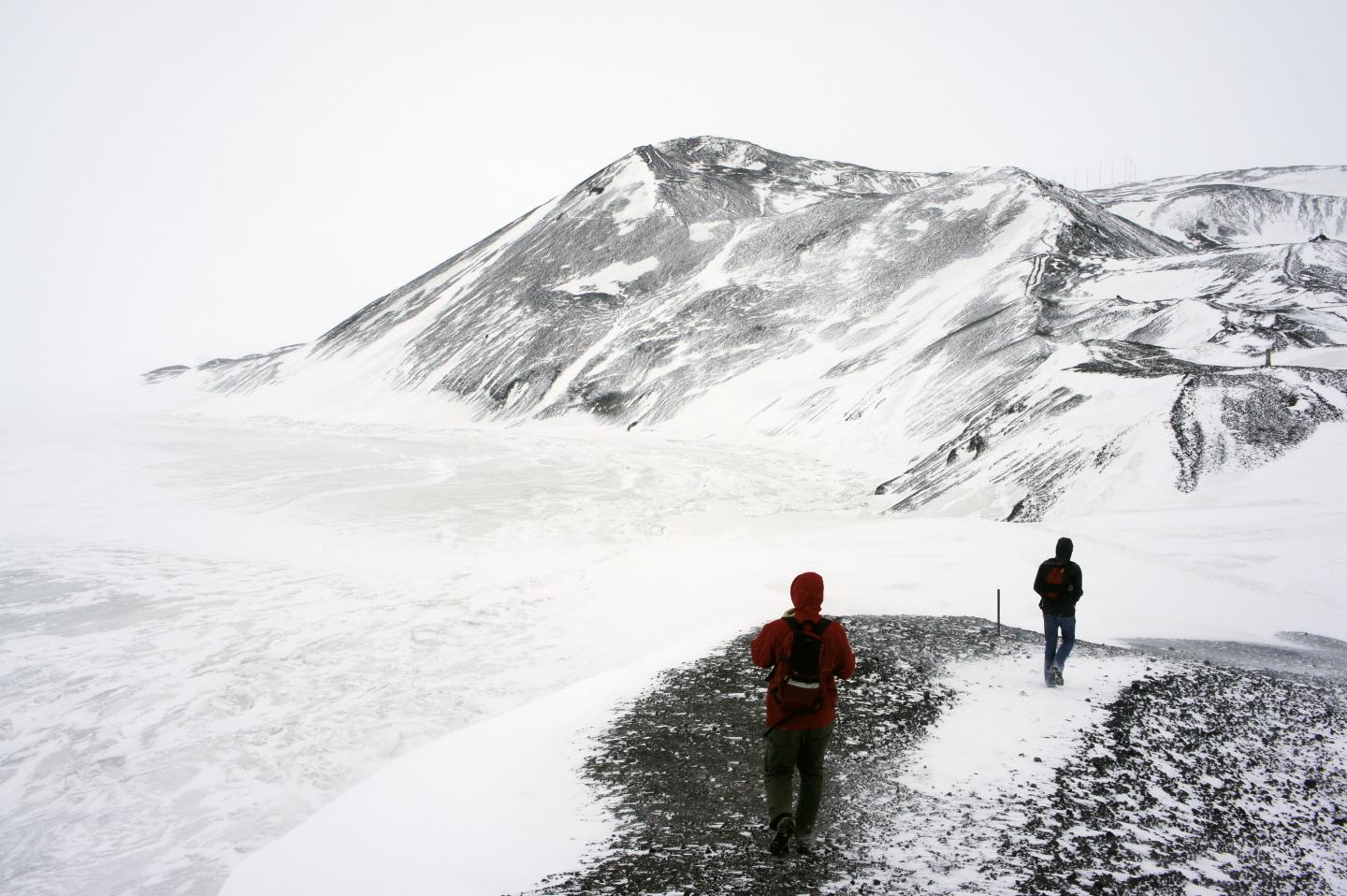 Antarctic Ridge